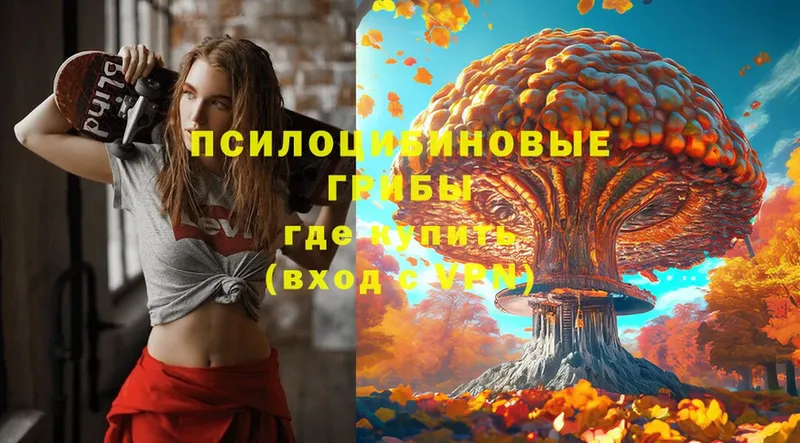 кракен ТОР  Ворсма  Галлюциногенные грибы Psilocybe 